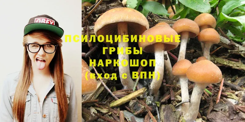 Псилоцибиновые грибы MAGIC MUSHROOMS  omg ссылка  Лакинск  где найти  