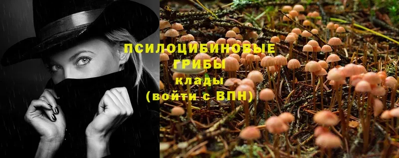 Псилоцибиновые грибы Magic Shrooms Лакинск